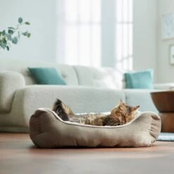 Frisco Rectangular Bolster Cat & Dog Bed -Ultimate Pet Shop 113275 PT2. AC SS1800 V1657655271