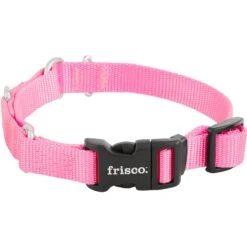 Frisco Solid Nylon Martingale Dog Collar With Buckle -Ultimate Pet Shop 139177 PT3. AC SS1800 V1620068872