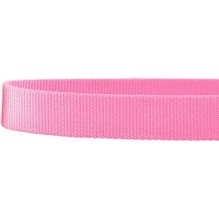 Frisco Solid Nylon Martingale Dog Collar With Buckle -Ultimate Pet Shop 139177 PT5. AC SS1800 V1620068877