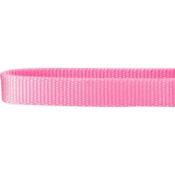 Frisco Solid Nylon Slip-On Martingale Dog Collar -Ultimate Pet Shop 139181 PT3. AC SS1800 V1620069443