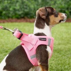 Frisco Small Breed Soft Vest Step In Back Clip Dog Harness -Ultimate Pet Shop 139821 PT5. AC SS1800 V1561573781