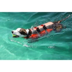 Frisco Ripstop Dog Life Jacket -Ultimate Pet Shop 140919 PT8. AC SS1800 V1540476454