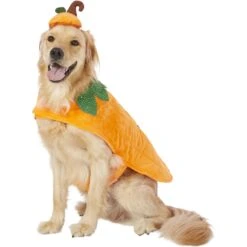 Frisco Pumpkin Dog & Cat Costume -Ultimate Pet Shop 144446 PT2. AC SS1800 V1567174700