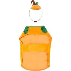 Frisco Pumpkin Dog & Cat Costume -Ultimate Pet Shop 144446 PT4. AC SS1800 V1567176587