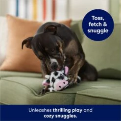 Frisco Cow Plush Squeaky Dog Toy -Ultimate Pet Shop 147003 PT3. AC SS1800 V1686079871