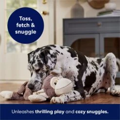 Frisco Monkey Plush Squeaky Dog Toy -Ultimate Pet Shop 147043 PT5. AC SS1800 V1686580080