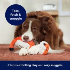 Frisco Fox Skinny Plush Squeaky Dog Toy -Ultimate Pet Shop 147049 PT5. AC SS1800 V1691776638