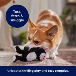 Frisco Cow Textured Plush Squeaky Dog Toy -Ultimate Pet Shop 147059 PT5. AC SS1800 V1691776636