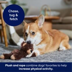 Frisco Bear Plush With Inside Rope Squeaky Dog Toy -Ultimate Pet Shop 147061 PT4. AC SS1800 V1695659155