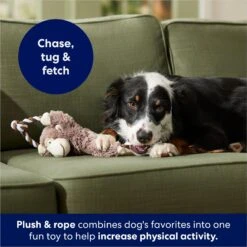 Frisco Monkey Plush With Rope Squeaky Dog Toy -Ultimate Pet Shop 147067 PT4. AC SS1800 V1686079871