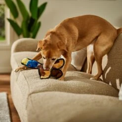 Frisco Duck Flat Plush Squeaky Dog Toy -Ultimate Pet Shop 147069 PT3. AC SS1800 V1674158058