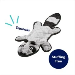 Frisco Raccoon Stuffing-Free Flat Plush Squeaky Dog Toy -Ultimate Pet Shop 147071 PT2. AC SS1800 V1692826085