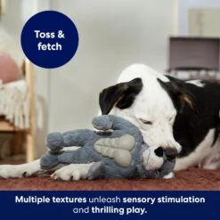 Frisco Wolf Muscle Plush Squeaky Dog Toy -Ultimate Pet Shop 147082 PT5. AC SS1800 V1691776574