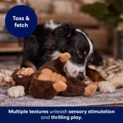 Frisco Gorilla Muscle Plush Squeaky Dog Toy -Ultimate Pet Shop 147084 PT5. AC SS1800 V1694182068