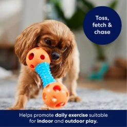 Frisco Dumbbell TPR Fetch Dog Toy -Ultimate Pet Shop 147108 PT3. AC SS1800 V1695241969