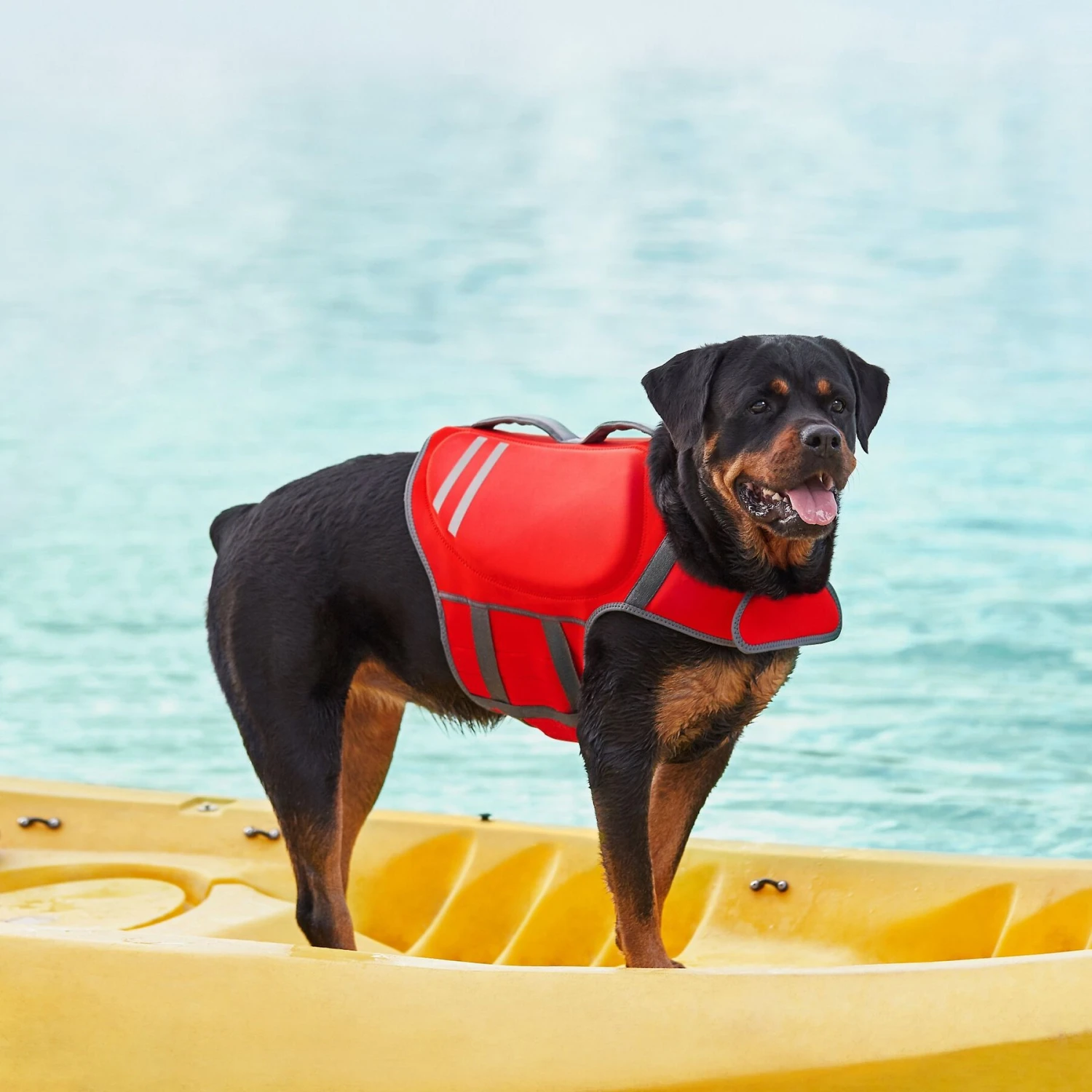 Frisco Neoprene Dog Life Jacket 8 Frisco Neoprene Dog Life Jacket - Image 8