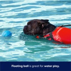 Frisco Foam Rubber Floating Fetch Ball No Squeak Dog Toy -Ultimate Pet Shop 152798 PT3. AC SS1800 V1686579688