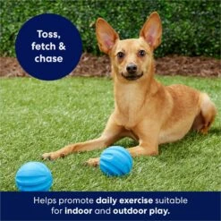 Frisco Foam Rubber Floating Fetch Ball No Squeak Dog Toy -Ultimate Pet Shop 152798 PT4. AC SS1800 V1686579140