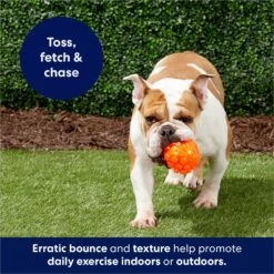 Frisco Fetch Squeaky TPR Ball Dog Toy -Ultimate Pet Shop 152801 PT4. AC SS1800 V1686580091