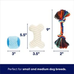 Frisco Chewy Box Hide & Seek Puzzle Plush Squeaky Dog Toy -Ultimate Pet Shop 152808 PT2. AC SS1800 V1695659219