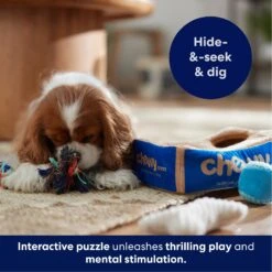 Frisco Chewy Box Hide & Seek Puzzle Plush Squeaky Dog Toy -Ultimate Pet Shop 152808 PT5. AC SS1800 V1695670752