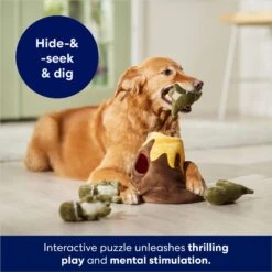 Frisco Volcano Hide & Seek Puzzle Plush Squeaky Dog Toy -Ultimate Pet Shop 152810 PT3. AC SS1800 V1686079871