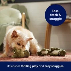 Frisco Volcano Hide & Seek Puzzle Plush Squeaky Dog Toy Refills, 3 Count -Ultimate Pet Shop 152814 PT5. AC SS1800 V1691776693