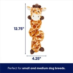 Frisco Giraffe Bungee Plush Squeaky Dog Toy 7 Frisco Giraffe Bungee Plush Squeaky Dog Toy -Ultimate Pet Shop 152822 PT1. AC SS1800 V1686579564