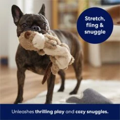 Frisco Beaver Bungee Plush Squeaky Dog Toy -Ultimate Pet Shop 152824 PT5. AC SS1800 V1686580146