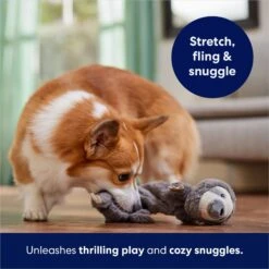 Frisco Sloth Bungee Plush Squeaky Dog Toy -Ultimate Pet Shop 152826 PT5. AC SS1800 V1686579214