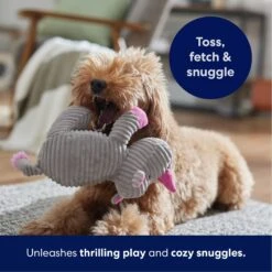 Frisco Rhino Corduroy Plush Squeaky Dog Toy -Ultimate Pet Shop 152828 PT4. AC SS1800 V1695659205