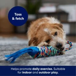 Frisco Rope With Handle & Tassels Dog Toy -Ultimate Pet Shop 152840 PT3. AC SS1800 V1695241916