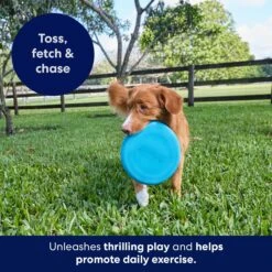 Frisco Fetch Rubber Flyer Dog Toy -Ultimate Pet Shop 152848 PT5. AC SS1800 V1692370079