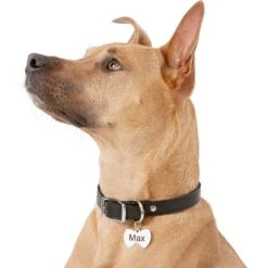 Frisco Stainless Steel Personalized Dog & Cat ID Tag, Bow Tie -Ultimate Pet Shop 152997 PT5. AC SS1800 V1540562104