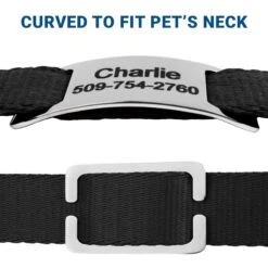 Frisco Stainless Steel Slide-On Personalized Dog & Cat Tag, Open Design -Ultimate Pet Shop 153050 PT4. AC SS1800 V1644016599