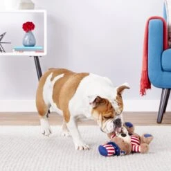 Frisco American Flag Bear Plush Squeaky Dog Toy -Ultimate Pet Shop 157187 PT2. AC SS1800 V1559764047