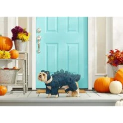 Frisco Stegosaurus Dinosaur Dog & Cat Costume -Ultimate Pet Shop 158777 PT3. AC SS1800 V1567175743