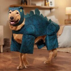 Frisco Stegosaurus Dinosaur Dog & Cat Costume -Ultimate Pet Shop 158777 PT7. AC SS1800 V1567180627