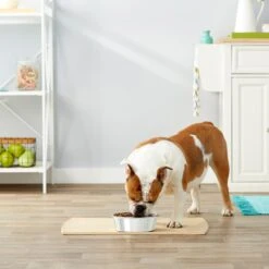 Frisco Stainless Steel Dog & Cat Bowl -Ultimate Pet Shop 159867 PT3. AC SS1800 V1570543097