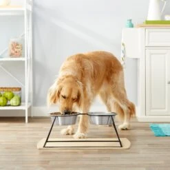 Frisco Pyramid Elevated Stainless Steel Double Diner Dog & Cat Bowl -Ultimate Pet Shop 159884 PT3. AC SS1800 V1561123346