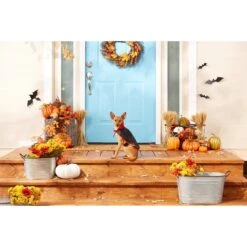 Frisco Vampire Cape Dog & Cat Costume -Ultimate Pet Shop 160793 PT3. AC SS1800 V1567176564