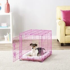 Frisco Fold & Carry Single Door Collapsible Wire Dog Crate, Pink -Ultimate Pet Shop 160806 PT6. AC SS1800 V1561066044