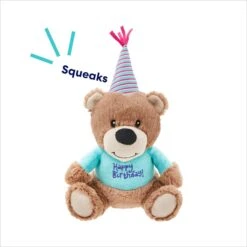 Frisco Birthday Bear Plush Squeaky Dog Toy -Ultimate Pet Shop 162836 PT2. AC SS1800 V1695659146