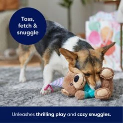 Frisco Birthday Bear Plush Squeaky Dog Toy -Ultimate Pet Shop 162836 PT4. AC SS1800 V1695670999
