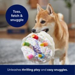 Frisco Birthday Cake Plush Squeaky Dog Toy -Ultimate Pet Shop 162839 PT4. AC SS1800 V1695671061