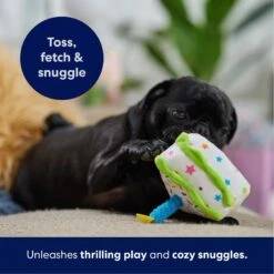 Frisco Birthday Cake Slice Plush Squeaky Dog Toy -Ultimate Pet Shop 162906 PT4. AC SS1800 V1695671059