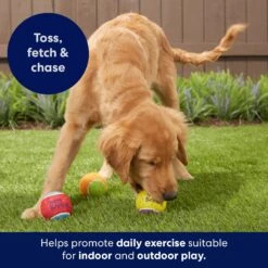Frisco Birthday Fetch Squeaky Tennis Ball Dog Toy -Ultimate Pet Shop 162914 PT5. AC SS1800 V1692020098