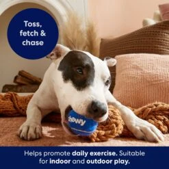Frisco Chewy Fetch Squeaky Tennis Ball Dog Toy -Ultimate Pet Shop 164314 PT3. AC SS1800 V1691783970