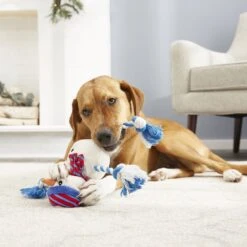 Frisco Holiday Snowman Plush With Rope Squeaky Dog Toy -Ultimate Pet Shop 164645 PT2. AC SS1800 V1568910233