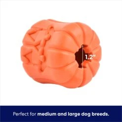 Frisco Halloween Pumpkin Rubber Treat Dispenser Dog Toy, Medium/Large -Ultimate Pet Shop 164763 PT2. AC SS1800 V1689878018